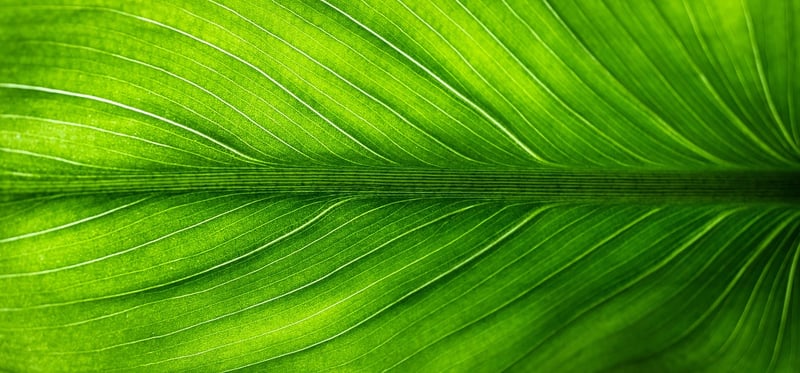 Eco-friendly products